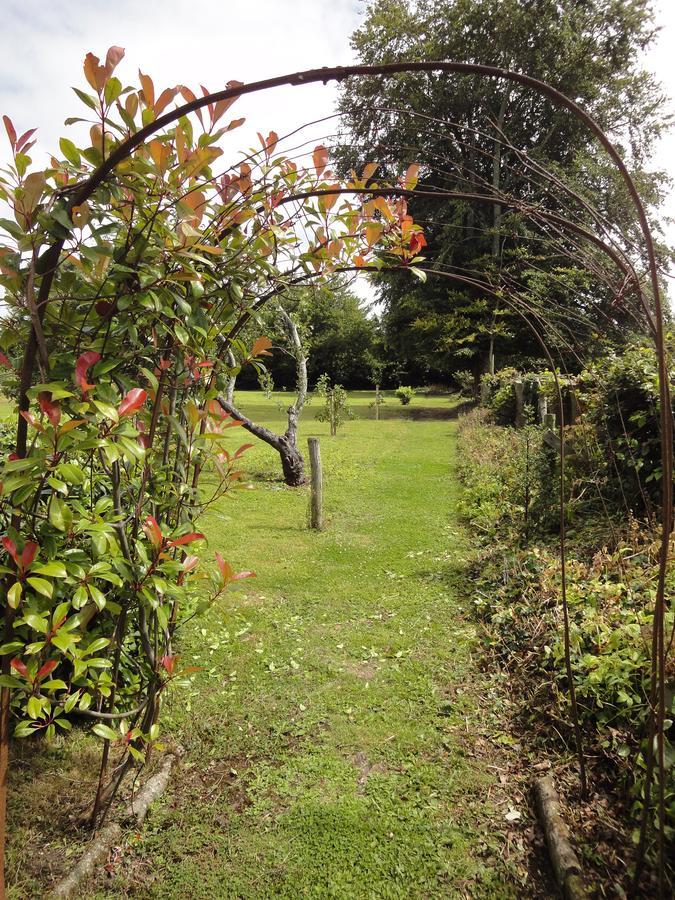 Glendine House Kilkenny Bed and Breakfast Eksteriør billede